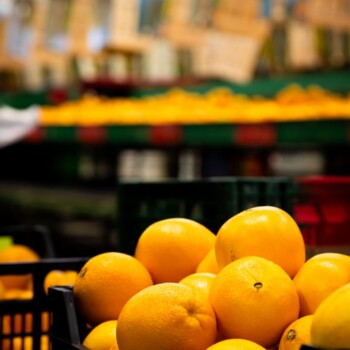 Naranjas de zumo en cajas de reparto dentro del almacén de Sucnatur