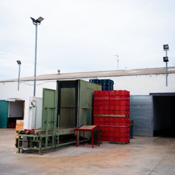 Zona exterior de la nave de Sucnatur con cajas de campo apiladas